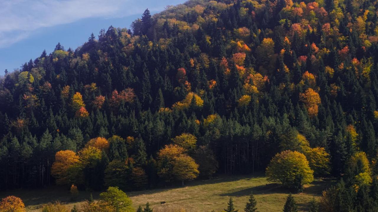 Landhaus Bordžomi Exteriér fotografie