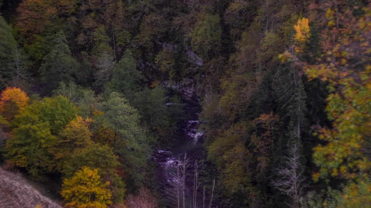 Landhaus Bordžomi Exteriér fotografie