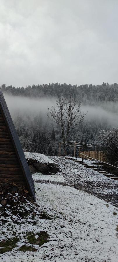 Landhaus Bordžomi Exteriér fotografie