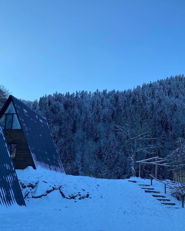 Landhaus Bordžomi Exteriér fotografie