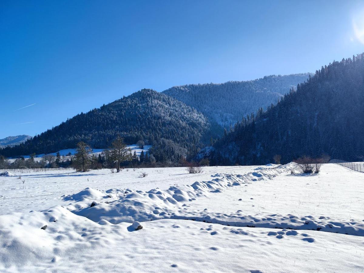 Landhaus Bordžomi Exteriér fotografie