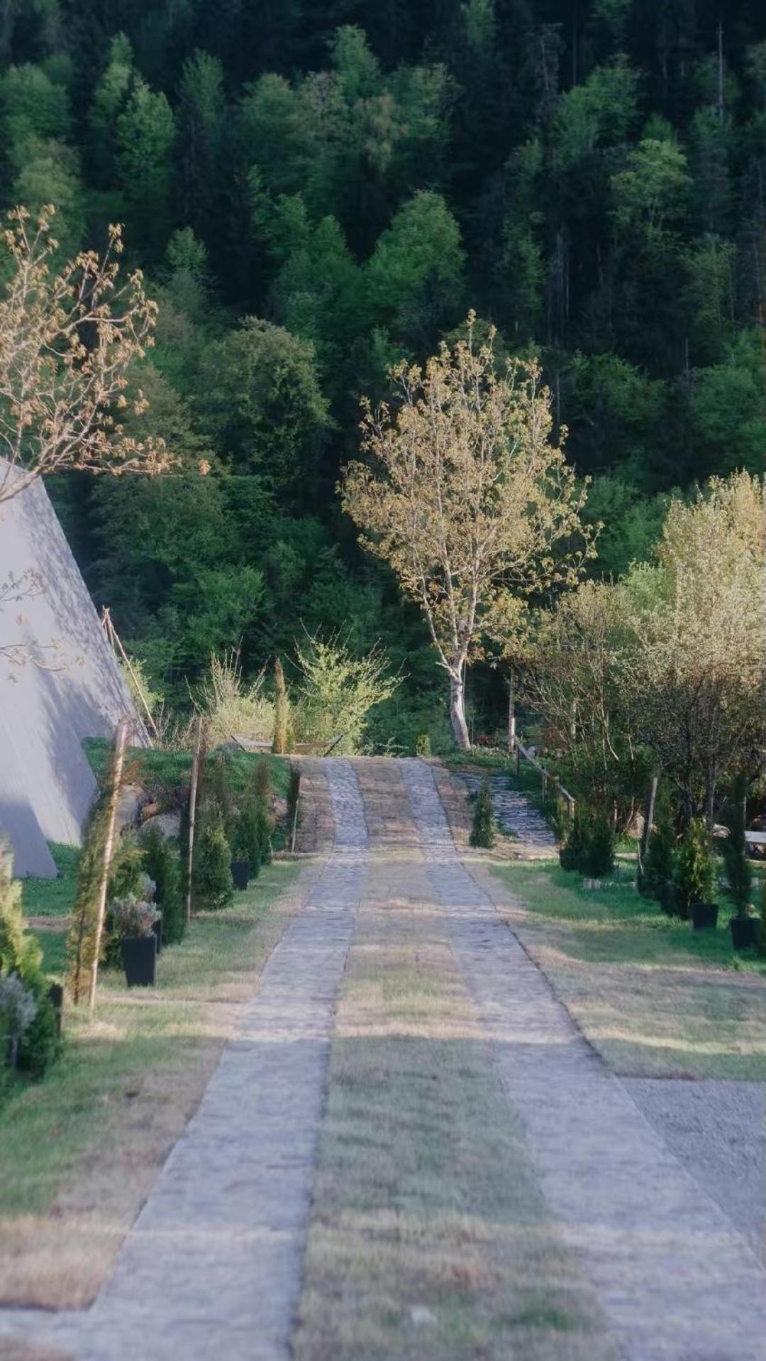Landhaus Bordžomi Exteriér fotografie